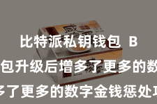 比特派私钥钱包 Bitpie钱包升级后增多了更多的数字金钱惩处功能