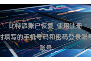 比特派账户恢复  使用注册时填写的手机号码和密码登录账号